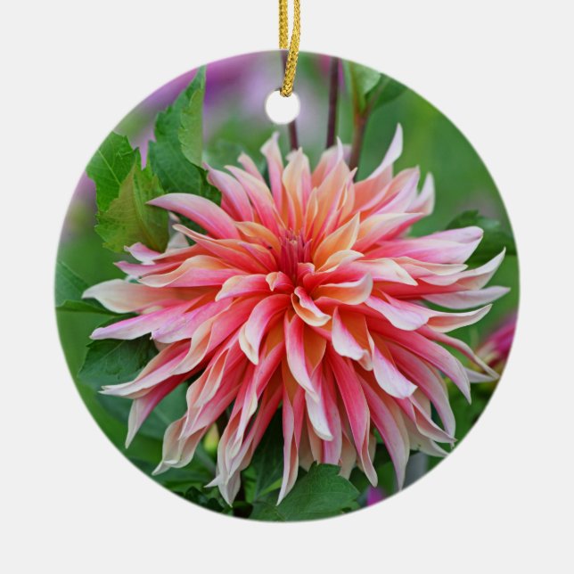 Orange and Pink Dahlia Flower 1st Ceramic Ornament (Front)