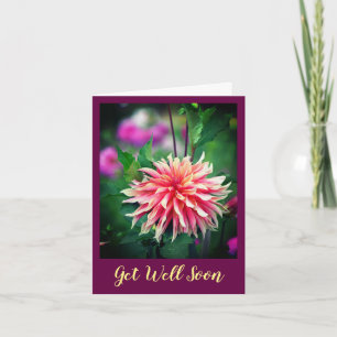Orange and Pink Dahlia Flower Get Well Soon Card