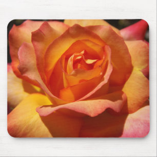 Orange and Pink Rose Mouse Pad