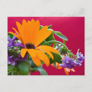 Orange And Purple Flower Theme Postcard