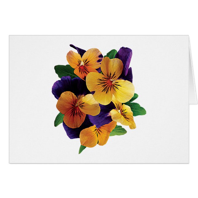 Orange and Purple Pansies (Front Horizontal)