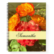 Orange And Red Flower Garden