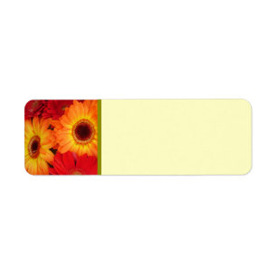 Orange and Red Gerber Daisies Return Address Label