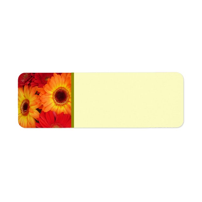 Orange and Red Gerber Daisies Return Address Label (Front)
