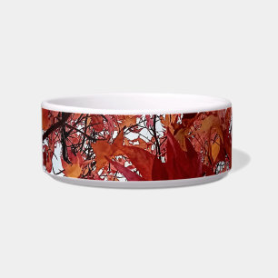 Orange and red leaves bowl