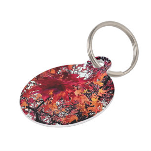Orange and red leaves pet tag