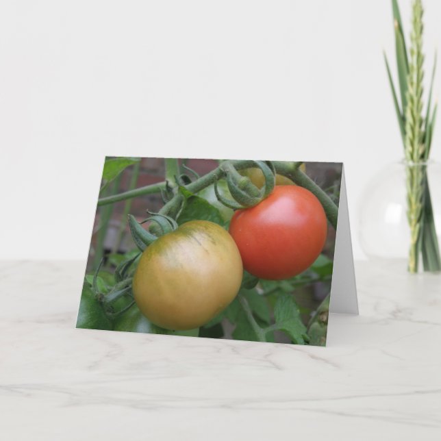 Orange and Red Tomatoes Greeting Card (Front)