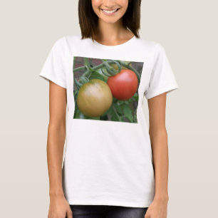 Orange and Red Tomatoes Ladies T Shirt
