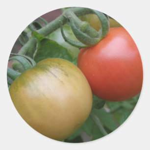 Orange and Red Tomatoes Stickers