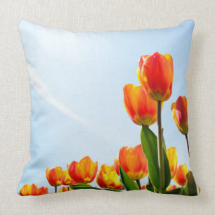 Orange and red tulips from below cushion