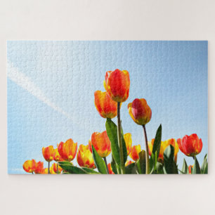 Orange and red tulips from below jigsaw puzzle
