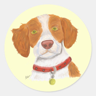 Orange and White Brittany Classic Round Sticker