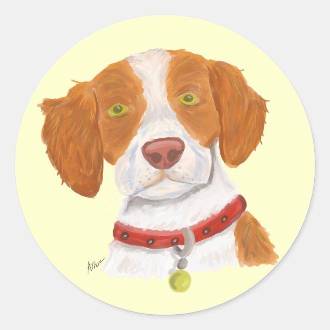 Orange and White Brittany Classic Round Sticker (Front)