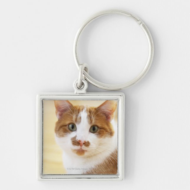 orange and white cat looking at camera key ring (Front)