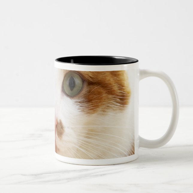 orange and white cat looking at camera Two-Tone coffee mug (Right)