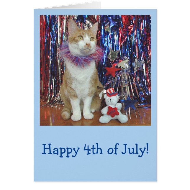 Orange and white cat patriotic card (Front)