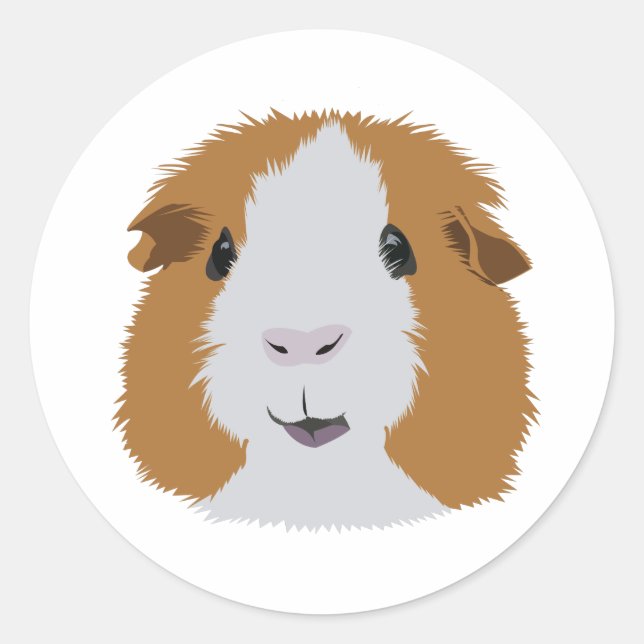 Orange and White Guinea Pig Classic Round Sticker (Front)