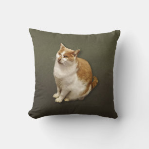 Orange and White Short Haired Cat Cushion