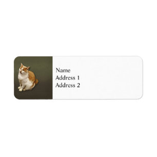 Orange and White Short Haired Cat Return Address Label
