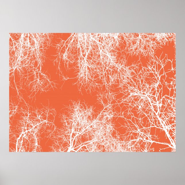 Orange and white silhouetted trees poster (Front)