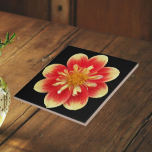 Orange and Yellow Collarette Dahlia Floral Ceramic Tile