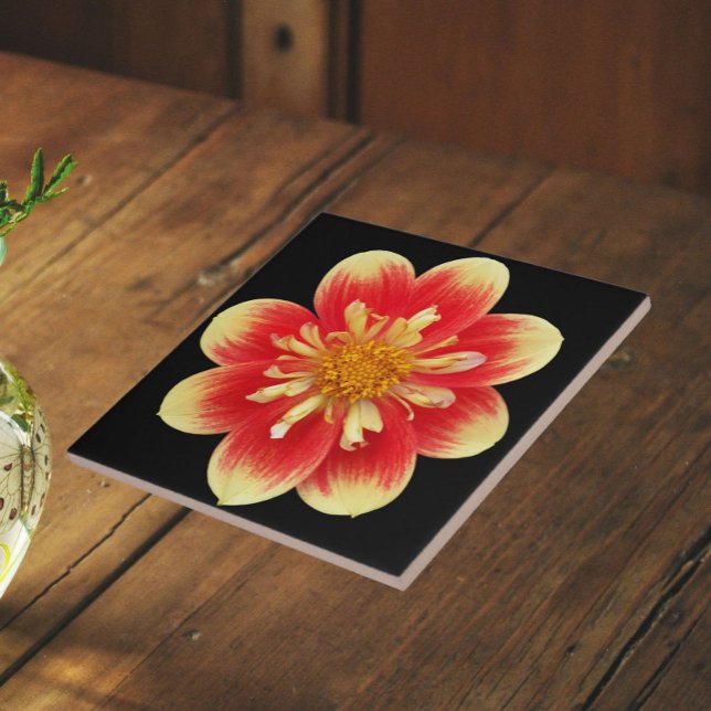 Orange and Yellow Collarette Dahlia Floral Ceramic Tile (In Situ)