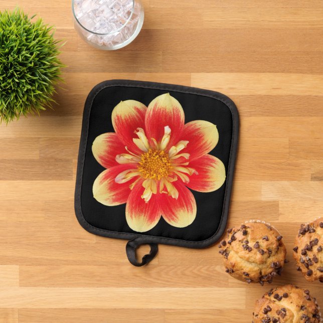 Orange and Yellow Collarette Dahlia Floral Pot Holder (Top Down)