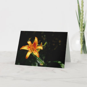 Orange and Yellow Daylily, Blank Inside Card