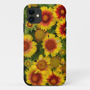 Orange and yellow echinacea floral iphone case