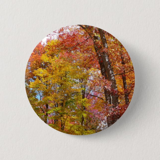 Orange and Yellow Fall Trees Autumn Photography 6 Cm Round Badge (Front)