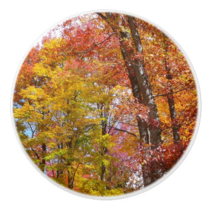 Orange and Yellow Fall Trees Autumn Photography Ceramic Knob