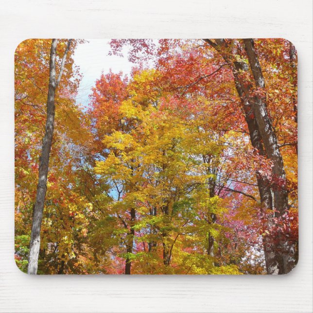 Orange and Yellow Fall Trees Autumn Photography Mouse Pad (Front)