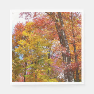 Orange and Yellow Fall Trees Autumn Photography Napkin