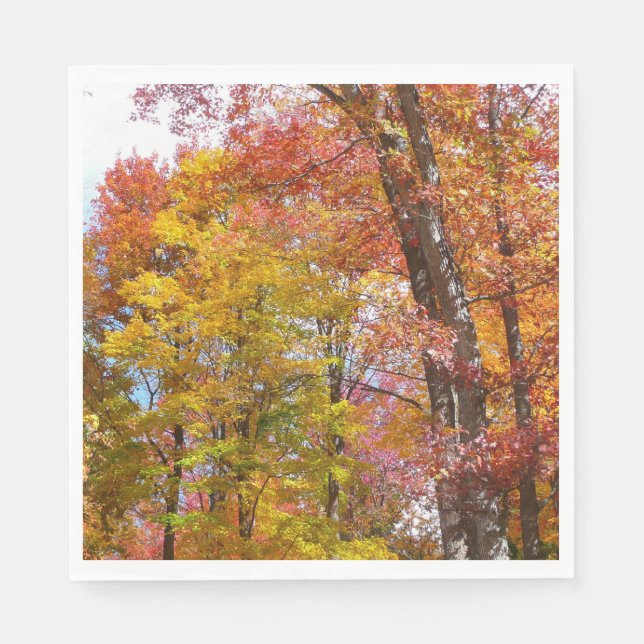 Orange and Yellow Fall Trees Autumn Photography Napkin (Front)