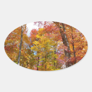 Orange and Yellow Fall Trees Autumn Photography Oval Sticker