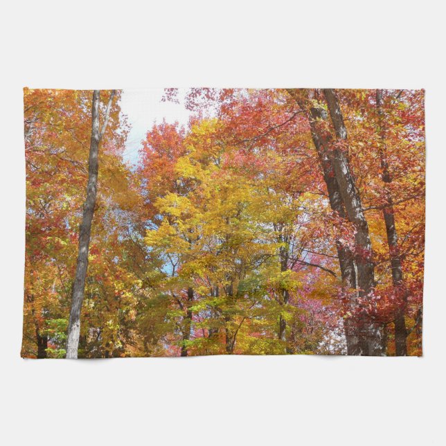 Orange and Yellow Fall Trees Autumn Photography Tea Towel (Horizontal)