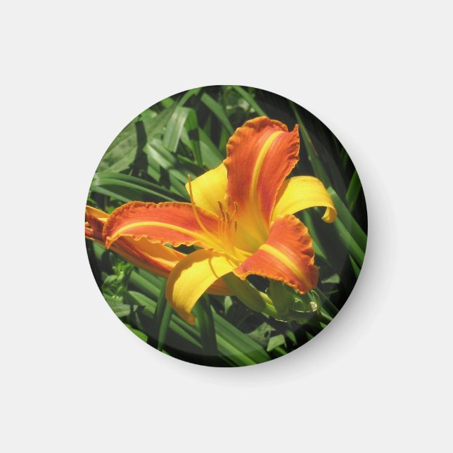Orange and Yellow Lily Magnet (Front)