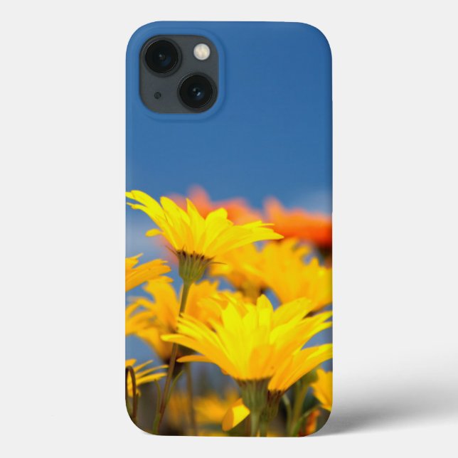 Orange And Yellow Namaqualand Daisies Case-Mate iPhone Case (Back)