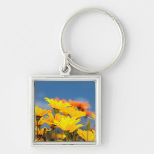 Orange And Yellow Namaqualand Daisies Key Ring