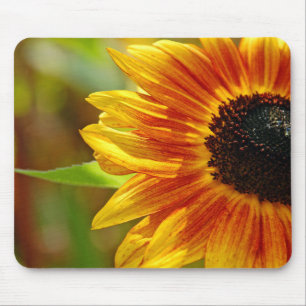 Orange and yellow sunflower blossoms mouse pad