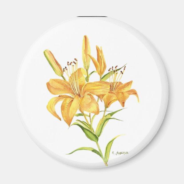 Orange and yellow Tiger-lily watercolor flower Magnet (Front)