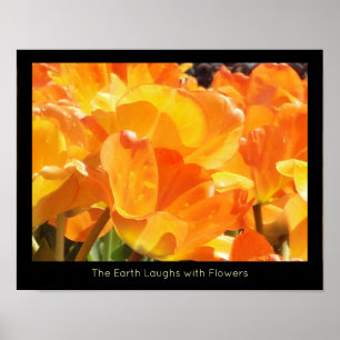 Orange and Yellow Tulips Earth Laughs with Flower Poster
