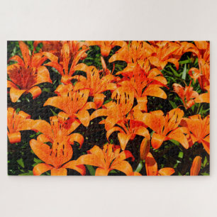 Orange Asian lilies Jigsaw Puzzle