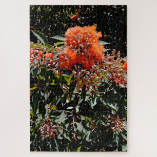 Orange Australian Banksia Flowers And Seed Pods, Jigsaw Puzzle