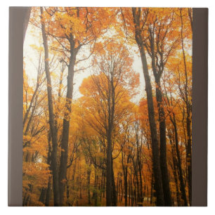 Orange Autumn Forest Ceramic Tile