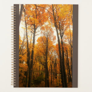 Orange Autumn Forest Planner