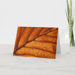 Orange autumn leaf card