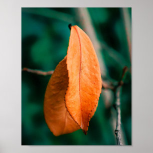 Orange Autumn Leaves on a Slender Twig Poster