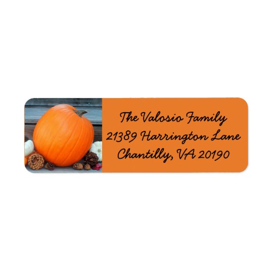 Orange Autumn Pumpkin Return Address Label