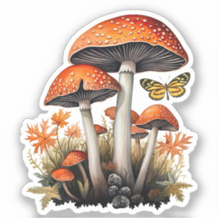 Orange Autumn Woodland Mushrooms